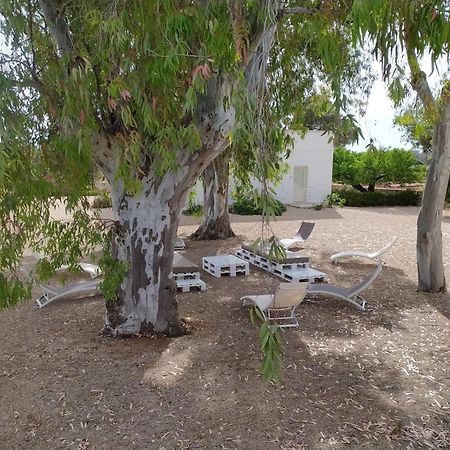 Terreamare Agriturismo Porto Cesareo Ngoại thất bức ảnh