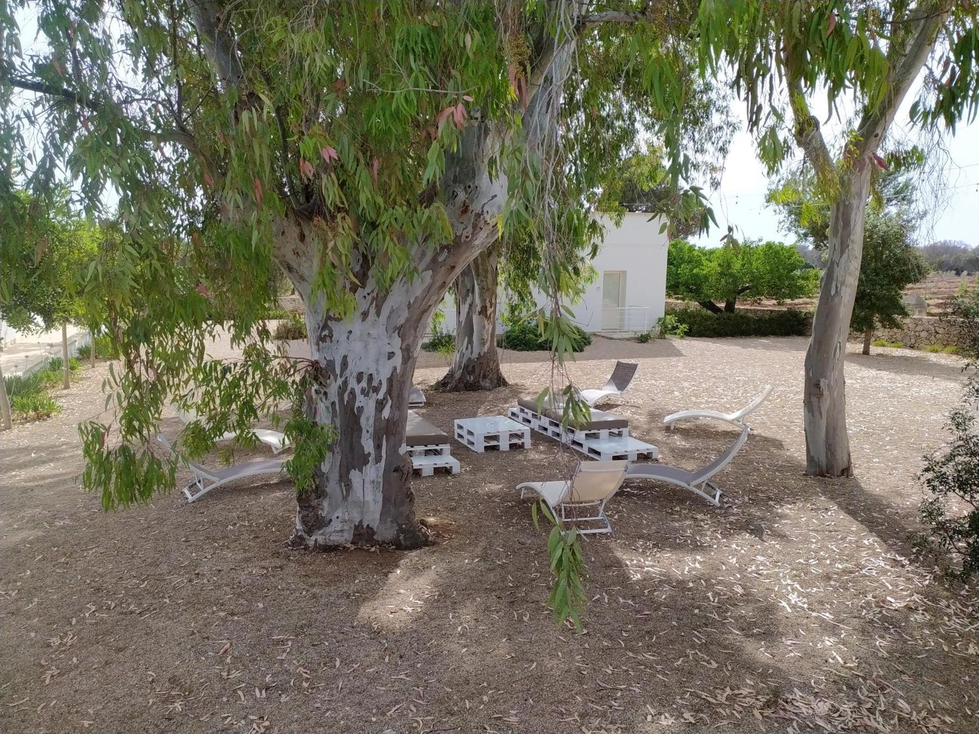 Terreamare Agriturismo Porto Cesareo Ngoại thất bức ảnh