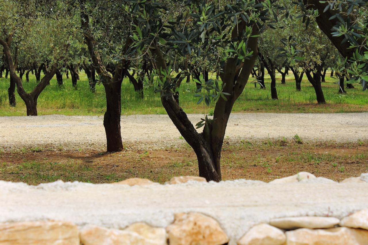 Terreamare Agriturismo Porto Cesareo Ngoại thất bức ảnh